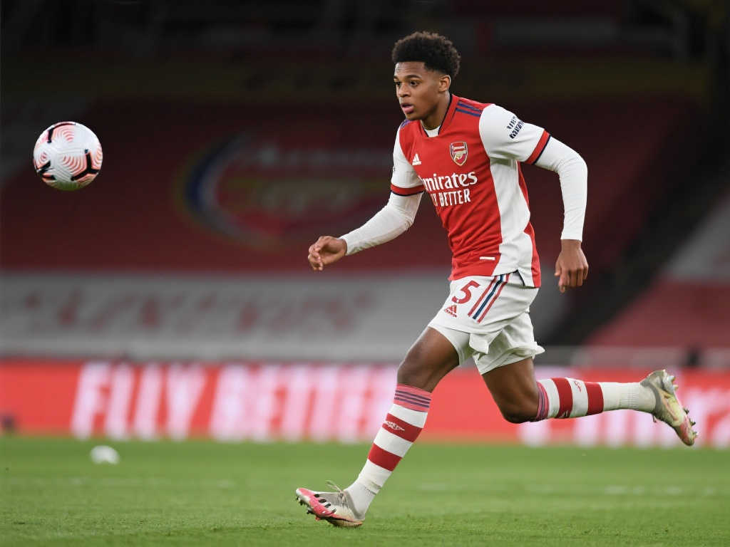 用以提升球 用以提升球