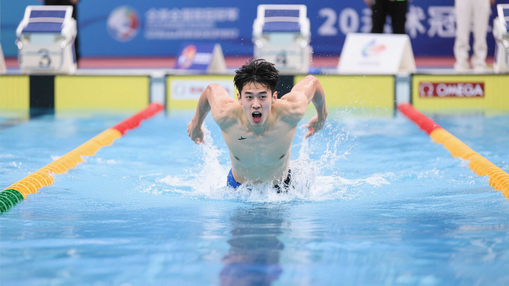 彰显价值 彰显价值