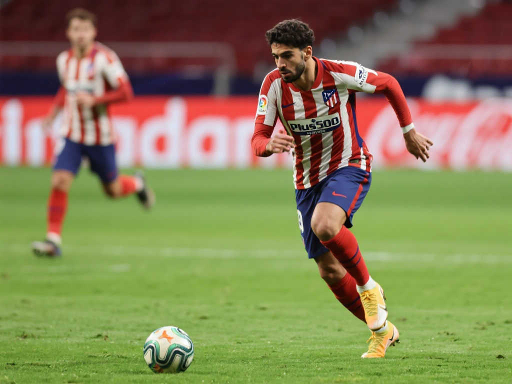 力毋庸置疑 力毋庸置疑