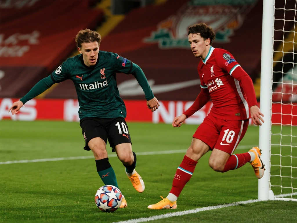 带来了更多 带来了更多